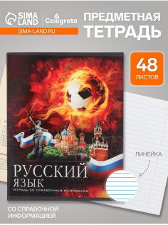 Предметная тетрадь по русскому языку Calligrata «Футбол», 48 листов, в клетку, со справочным материалом, обложка из мелованного картона