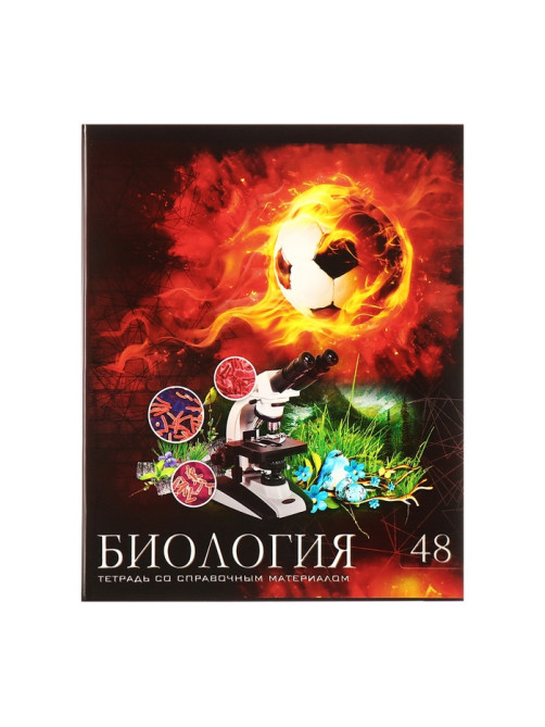 Набор предметных тетрадей Calligrata «Футбол», 10 предметов, 48 листов, со справочным материалом, обложка из мелованного картона, блок офсет