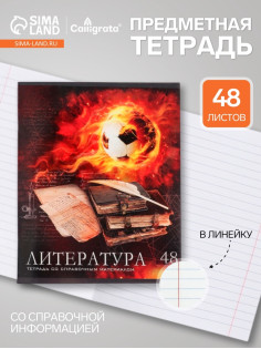 Предметная тетрадь по литературе Calligrata «Футбол», 48 листов, в линейку, со справочным материалом, обложка из мелованного картона