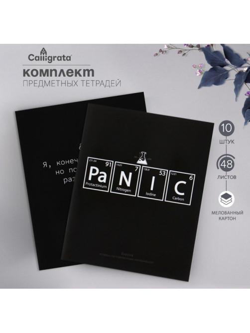 Набор предметных тетрадей Calligrata «На Чёрном», 10 предметов, 48 листов, со справочным материалом, обложка из мелованного картона