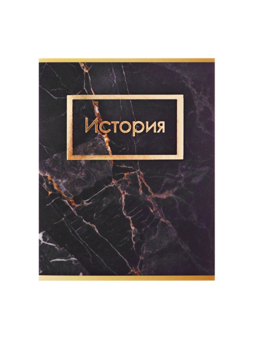 Набор предметных тетрадей Calligrata «Мрамор тёмный», 10 предметов, 48 листов, со справочным материалом, обложка из мелованного картона