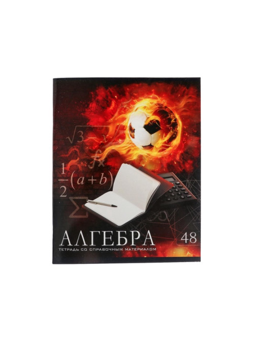 Предметная тетрадь по алгебре Calligrata «Футбол», 48 листов, в клетку, со справочным материалом, обложка из мелованного картона