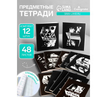 Набор предметных тетрадей Calligrata «Комикс Аниме», 12 предметов, 48 листов, со справочным материалом, обложка из мелованного картона