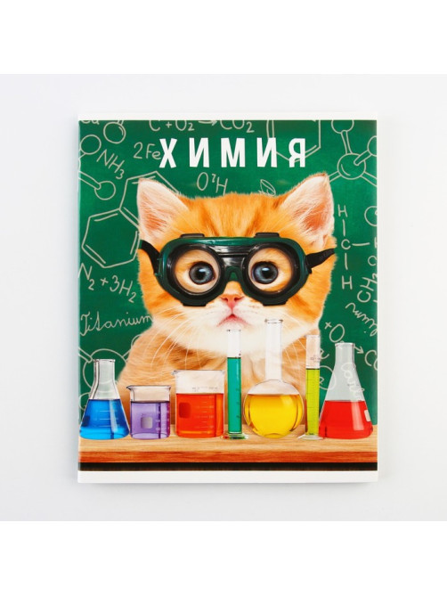 Тетрадь в клетку, предметная, 48 л., на скрепке, А5 «МИЛЫЕ ПИТОМЦЫ. Химия»