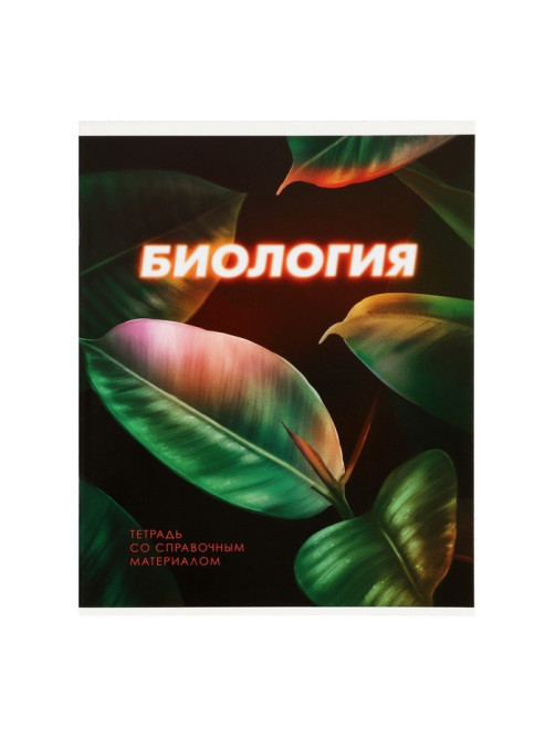 Набор предметных тетрадей Calligrata. 3D, 10 предметов, 48 листов, со справочным материалом, обложка из мелованного картона
