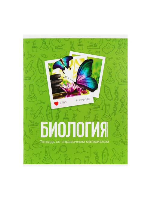 Набор предметных тетрадей Calligrata «Фото», 10 предметов, 48 листов, со справочным материалом, обложка из мелованного картона