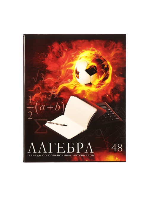 Набор предметных тетрадей Calligrata «Футбол», 10 предметов, 48 листов, со справочным материалом, обложка из мелованного картона, блок офсет