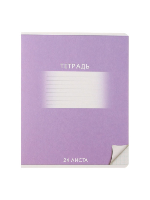Комплект тетрадей из 10 штук, 24 листа в клетку Calligrata «Школьная», обложка мелованный картон, ВД-лак, блок офсет, 5 видов по 2 штуки
