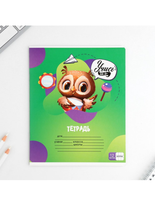 Тетрадь в клетку, 12 листов, А5, на скрепке, блок №1 «Учись на 5+» МИКС