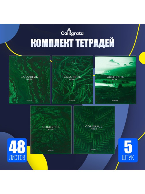 Набор тетрадей, 48 листов в клетку, Calligrata «Изумруд», серые листы, 5 штук