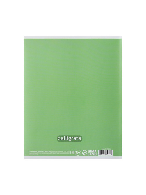 Тетрадь 12 листов в клетку Calligrata «Пятёрка», обложка мелованный картон, зеленая