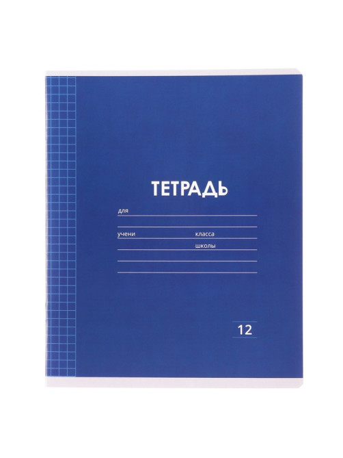 Тетрадь 12 листов в клетку Calligrata «Однотонная Классика Линовка. Эконом», обложка мелованная бумага, ВД-лак, блок №2 (серые листы), МИКС