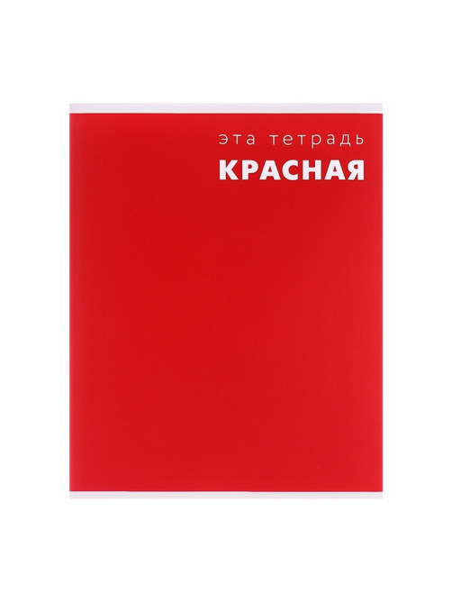 Тетрадь 48 листов в клетку, Calligrata «Это Тетрадь», МИКС