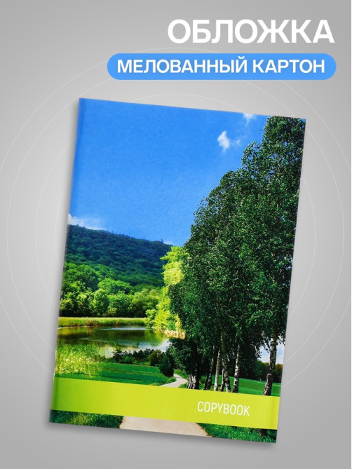 Тетрадь А4, 96 листов в клетку «Природа», серые листы