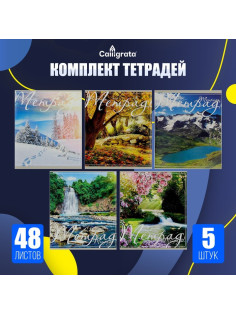Набор тетрадей 48 листов в клетку Calligrata «Пейзаж», обложка мелованный картон, серые листы, 5 шт.