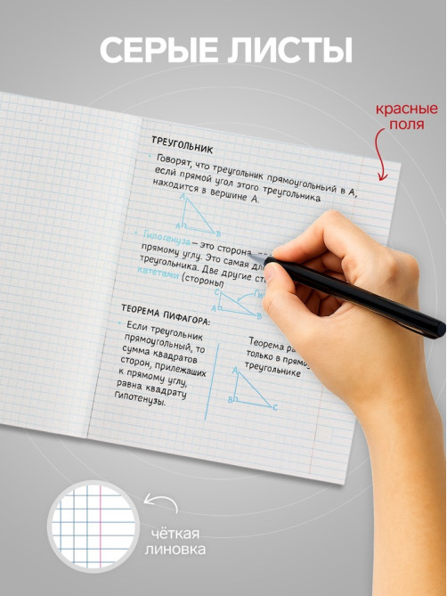 Тетрадь 48 листов в клетку, Calligrata «Изумруд», МИКС