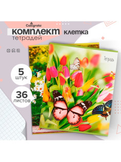 Набор тетрадей 36 листов в клетку, Calligrata «Бабочки», серые листы, 5 штук
