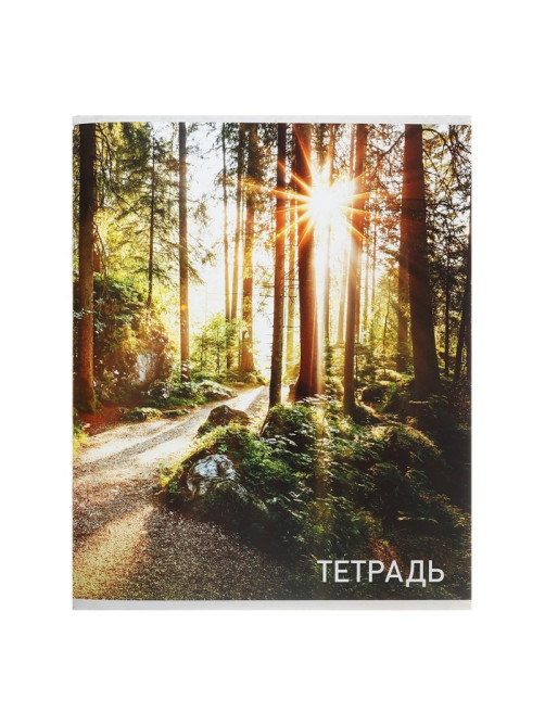 Тетрадь 96 листов, в клетку, Calligrata «Природа», серые листы, МИКС
