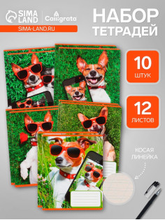 Комплект тетрадей из 10 штук, 12 листов в косую линию Calligrata «СелфиDOG», обложка мелованная бумага, ВД-лак, блок №2, белизна 75% (серые листы), 5 видов ...