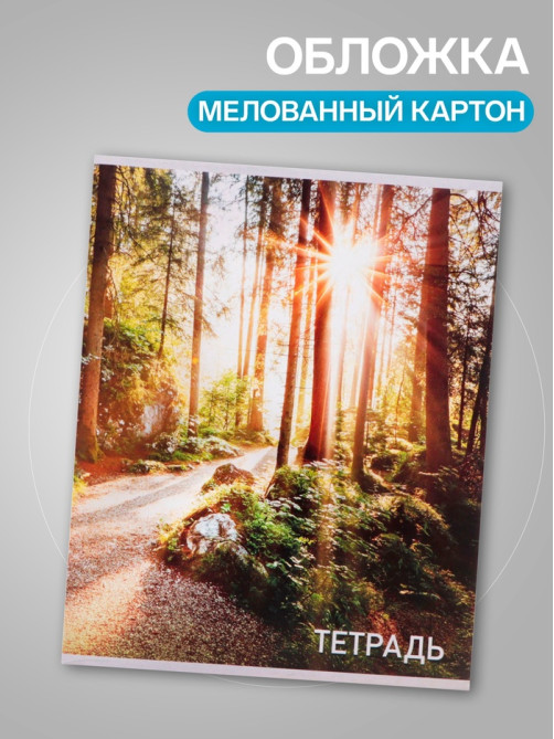 Набор тетрадей, 96 листов в клетку, Calligrata «Природа», серые листы, 4 штуки