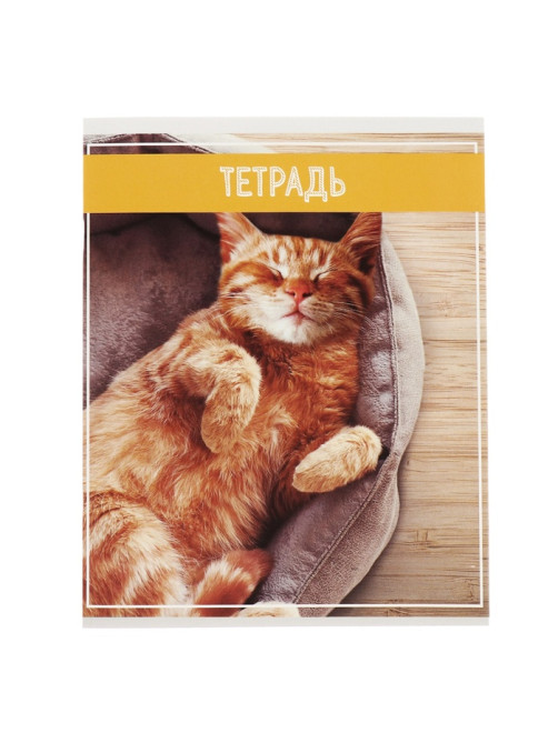 Комплект тетрадей из 5 штук (4 разные + 1 повторяющаяся), 36 листов в клетку Calligrata «Кошки», обложка мелованная бумага, блок №2, белизна 75% (серые листы)