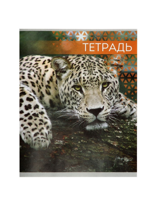Тетрадь «Дикие кошки», 48 листов, в клетку, МИКС