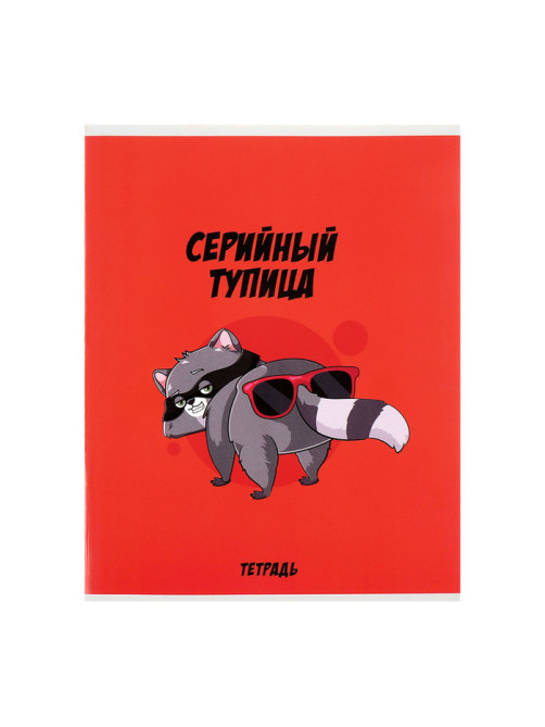 Комплект тетрадей из 5 штук, 48 листов в клетку Calligrata «Дерзкий енот», обложка мелованный картон, блок офсет