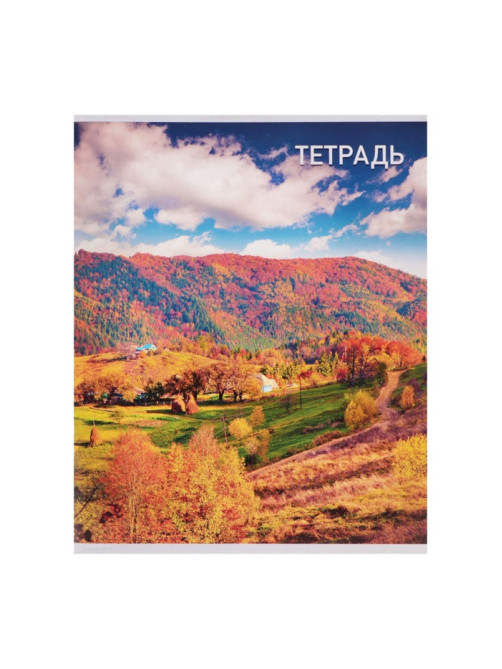 Набор тетрадей, 96 листов в клетку, Calligrata «Природа», серые листы, 4 штуки