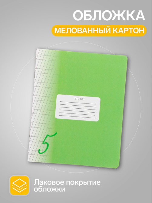 Комплект тетрадей из 10 штук, 12 листов в частую косую линию Calligrata «Пятёрка. Зелёная», обложка мелованный картон, блок офсет