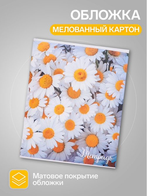 Набор тетрадей, 96 листов в клетку Calligrata 