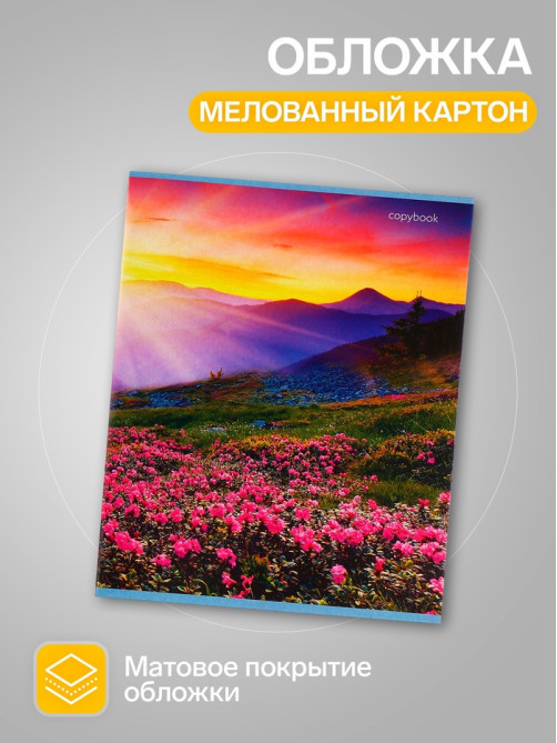 Комплект тетрадей, 96 листов в клетку, Calligrata «Прекрасная пора», 4 штуки