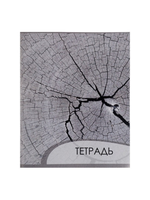 Комплект тетрадей из 4 штук, 96 листов в клетку Calligrata «Металл», обложка мелованный картон, блок офсет