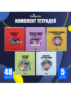 Комплект тетрадей из 5 штук, 48 листов в клетку Calligrata «Дерзкий енот», обложка мелованный картон, блок офсет