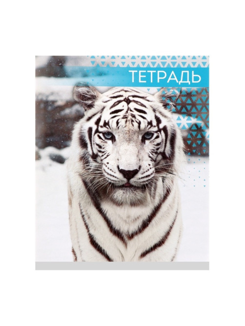 Тетрадь «Дикие кошки», 48 листов, в клетку, МИКС