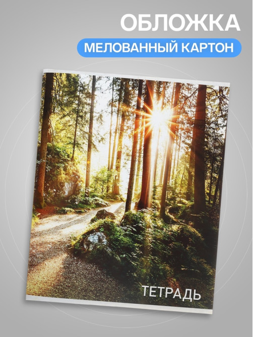 Тетрадь 96 листов, в клетку, Calligrata «Природа», серые листы, МИКС