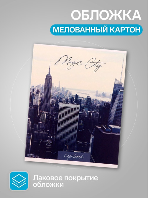 Набор тетрадей, 48 листов в клетку Calligrata «Города», серые листы, 5 штук
