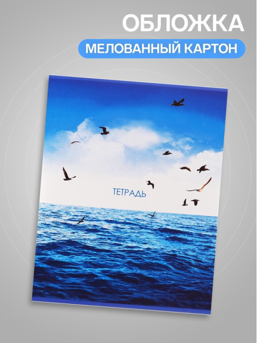 Тетрадь 96 листов в линейку Calligrata «Морской пейзаж», серые листы, МИКС