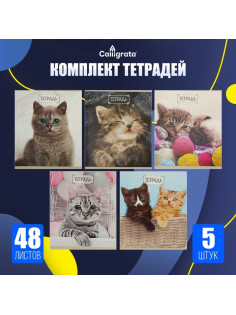 Набор тетрадей, 48 листов в клетку, Calligrata «Милые котята», серые листы, 5 штук