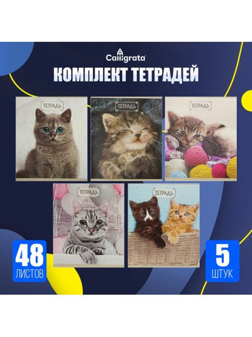 Набор тетрадей, 48 листов в клетку, Calligrata «Милые котята», серые листы, 5 штук