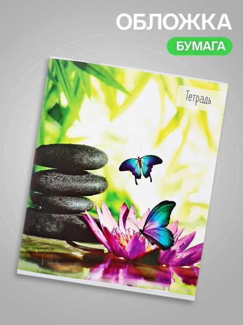 Тетрадь 36 листов в клетку Calligrata «Бабочки», серые листы, МИКС