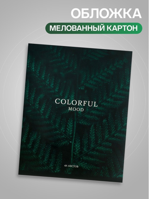 Тетрадь 48 листов в клетку, Calligrata «Изумруд», МИКС