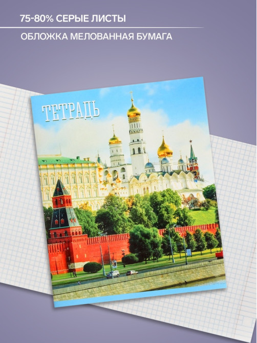 Тетрадь 48 листов в клетку Calligrata «Россия», серые листы, МИКС