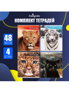 Комплект тетрадей, 48 листов в клетку, Calligrata «Дикие кошки», серые листы, 4 штуки