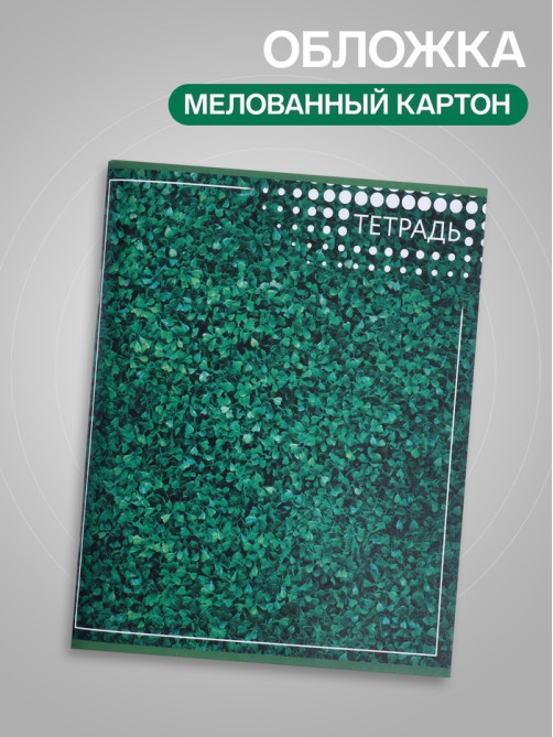 Тетрадь 96 листов в линейку «Текстура», МИКС