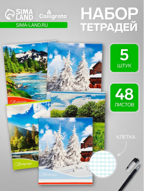 Комплект тетрадей 5 штук, 48 листов в клетку Calligrata «Времена года», обложка мелованный картон, блок офсет