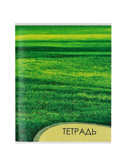 Тетрадь 96 листов в клетку, Calligrata «Текстура 2», МИКС