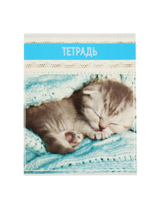 Комплект тетрадей из 5 штук (4 разные + 1 повторяющаяся), 36 листов в клетку Calligrata «Кошки», обложка мелованная бумага, блок №2, белизна 75% (серые листы)