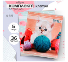 Комплект тетрадей из 5 штук, 36 листов в клетку Calligrata «Котята», обложка мелованный картон, блок офсет