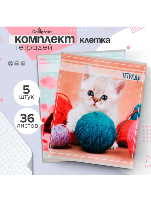 Комплект тетрадей из 5 штук, 36 листов в клетку Calligrata «Котята», обложка мелованный картон, блок офсет
