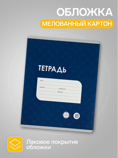 Комплект тетрадей из 10 штук, 18 листов в клетку Calligrata «Однотонная Классика точку. Эконом», обложка мелованный картон, ВД-лак, блок №2, белизна 75...